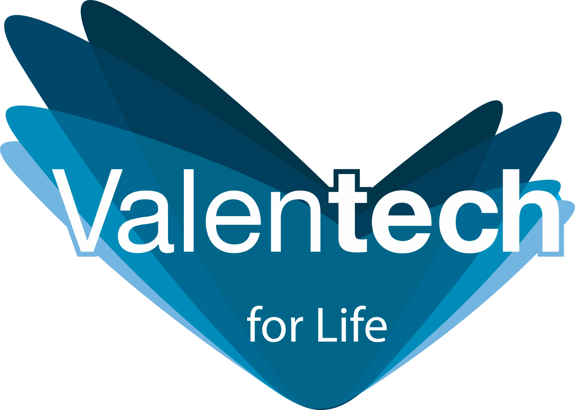 Logo Valentech